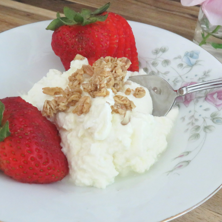 Homemade Slow Cooker Greek Yogurt Davee Kilian