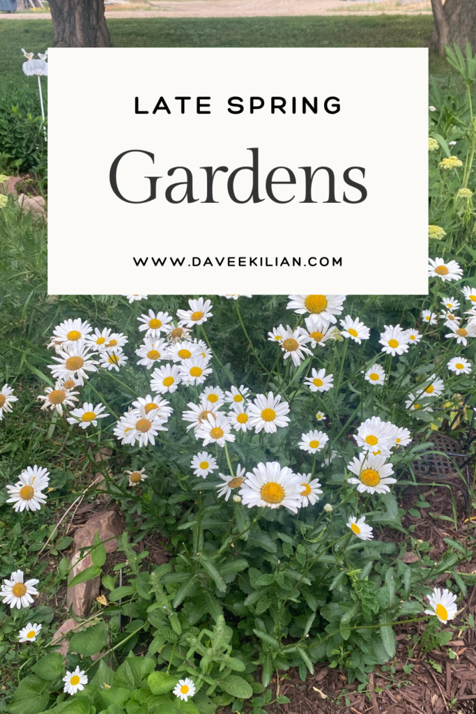 Late Spring Gardens pin with daisies.