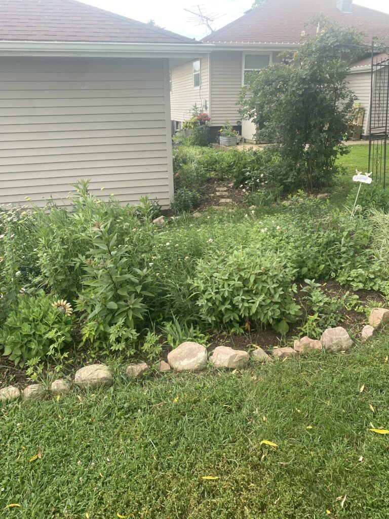 Side view of cottage flower garden with herbs and daisies blooming