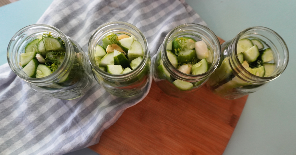 cucumbers, garlic and dill in the four jars in a line.