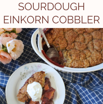 plated cobbler with whipped cream and partial cobbler on side