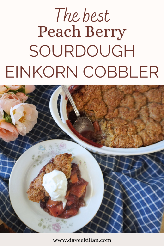 plated cobbler with partial view of cobbler