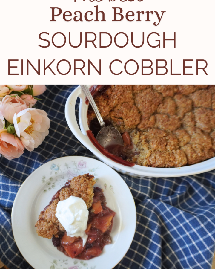 plated cobbler with whipped cream and partial cobbler on side