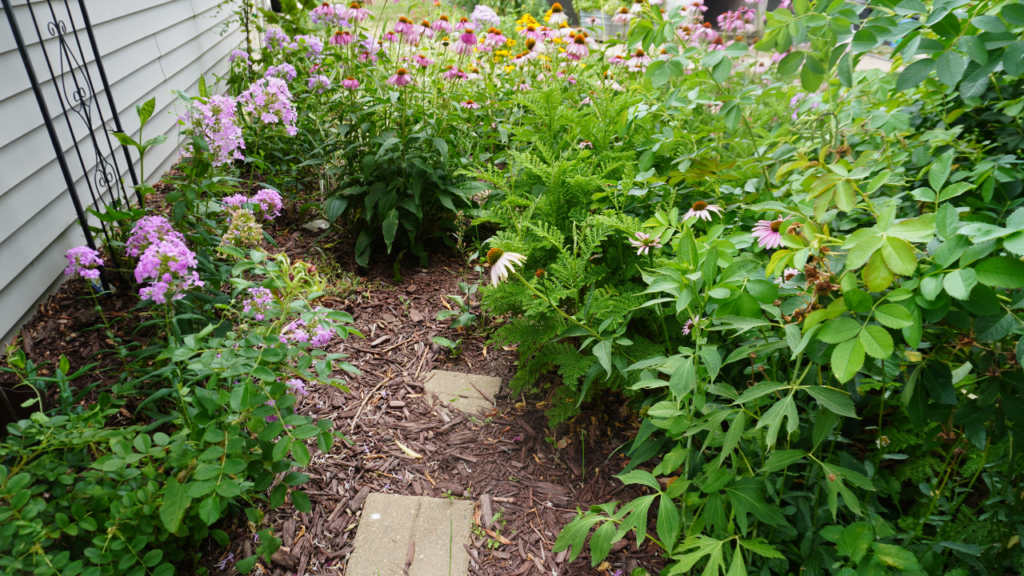 stepping stones in garden with flowers around